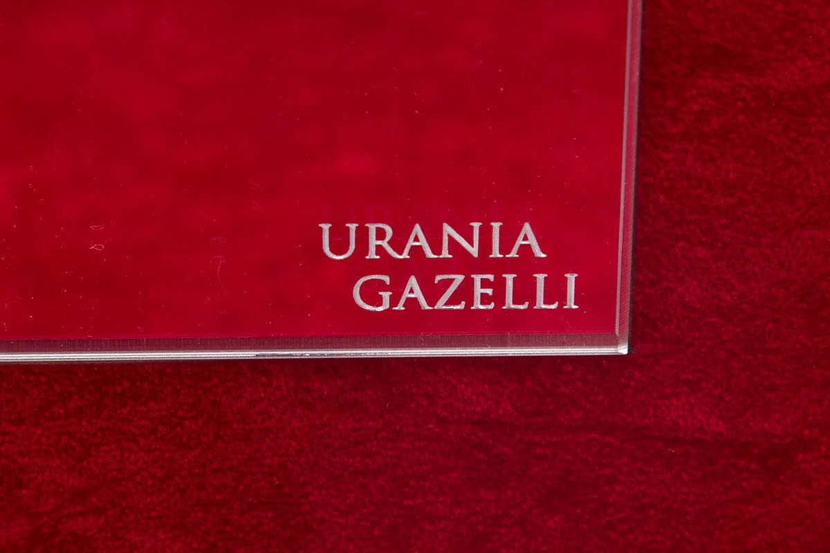 Urania Gazelli Silver Glitter Travel Case - Image 6